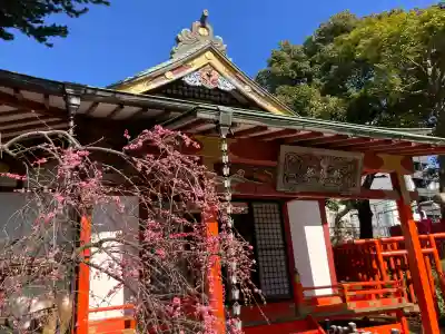 武蔵野稲荷神社の{uncategorized: "未分類", other: "その他", undefined: "問題あり", building: "その他建物", grave: "お墓", sacred_gate: "鳥居", guardian: "狛犬", statue: "像", buddha: "仏像", history: "歴史", nature: "自然", garden: "庭園", animal: "動物", pagoda: "塔", temizu: "手水舎", mountain_gate: "山門・神門", sanctuary: "本殿・本堂", subordinate: "末社・摂社", art: "芸術", scenery: "景色", jizo: "地蔵", ema: "絵馬", goshuin: "御朱印", omikuji: "おみくじ", items: "授与品その他", amulet: "お守り", goshuincho: "御朱印帳", eats: "食事", festival: "お祭り", votive_dance: "神楽", shichigosan: "七五三参", wedding: "結婚式", experience: "体験その他", initially: "初詣", around: "周辺", anti_infection: "感染症対策"}