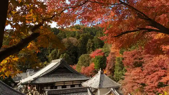 柳谷観音 楊谷寺(京都府)