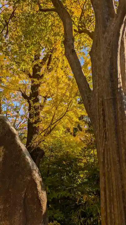 護王神社(京都府)