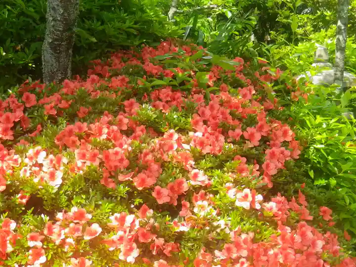 浄光明寺の自然