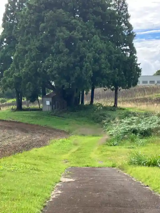 沢山神社(澤山神社)(新潟県)