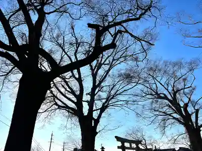 白鳥神社(長野県)