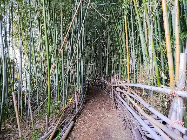 高木稲荷の自然