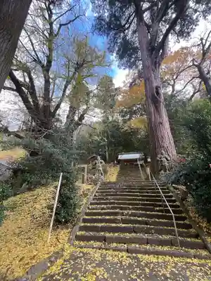 八幡大神社(宮崎県)
