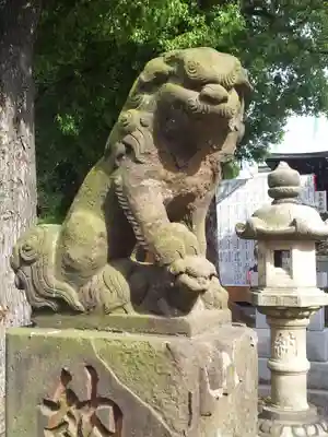町田天満宮の狛犬
