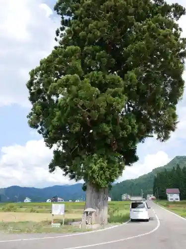 穴地十二大明神の建物その他