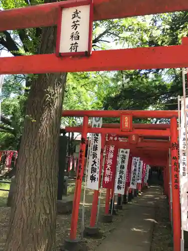 鬼子母神堂　(法明寺）の鳥居