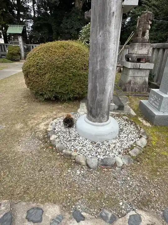 酒見神社(愛知県)