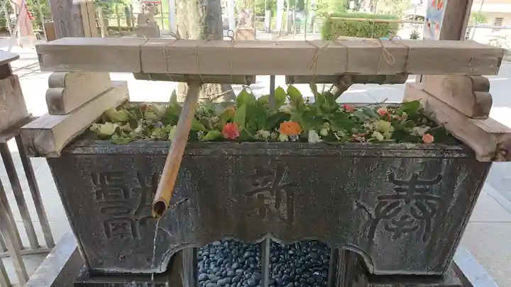 鳩森八幡神社の手水舎