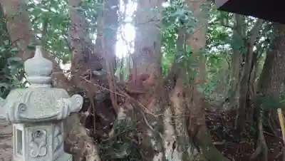 大宮神社のその他建物