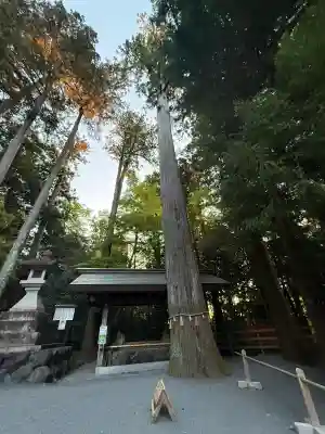 椿大神社(三重県)