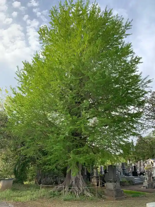 常蓮寺(千葉県)