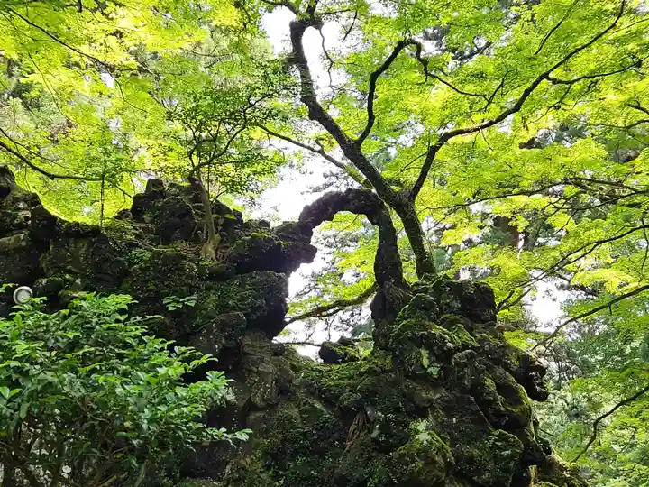 最乗寺(道了尊)(神奈川県)