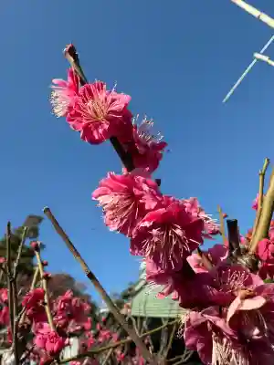 妙法寺(神奈川県)