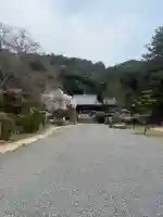繁多寺の{uncategorized: "未分類", other: "その他", undefined: "問題あり", building: "その他建物", grave: "お墓", sacred_gate: "鳥居", guardian: "狛犬", statue: "像", buddha: "仏像", history: "歴史", nature: "自然", garden: "庭園", animal: "動物", pagoda: "塔", temizu: "手水舎", mountain_gate: "山門・神門", sanctuary: "本殿・本堂", subordinate: "末社・摂社", art: "芸術", scenery: "景色", jizo: "地蔵", ema: "絵馬", goshuin: "御朱印", omikuji: "おみくじ", items: "授与品その他", amulet: "お守り", goshuincho: "御朱印帳", eats: "食事", festival: "お祭り", votive_dance: "神楽", shichigosan: "七五三参", wedding: "結婚式", experience: "体験その他", initially: "初詣", around: "周辺", anti_infection: "感染症対策"}