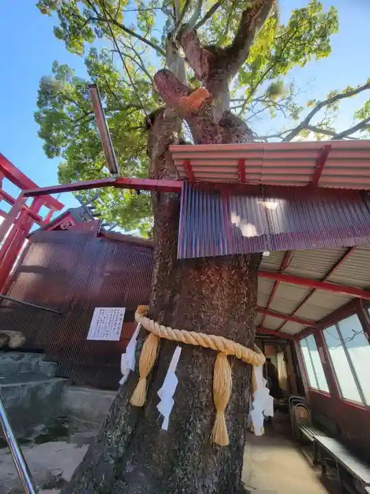 八股榎お袖大明神(愛媛県)