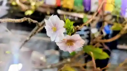 大坊本行寺(東京都)