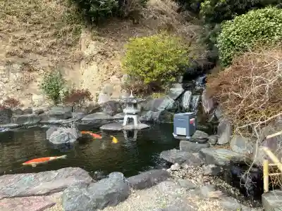 妙福寺の{uncategorized: "未分類", other: "その他", undefined: "問題あり", building: "その他建物", grave: "お墓", sacred_gate: "鳥居", guardian: "狛犬", statue: "像", buddha: "仏像", history: "歴史", nature: "自然", garden: "庭園", animal: "動物", pagoda: "塔", temizu: "手水舎", mountain_gate: "山門・神門", sanctuary: "本殿・本堂", subordinate: "末社・摂社", art: "芸術", scenery: "景色", jizo: "地蔵", ema: "絵馬", goshuin: "御朱印", omikuji: "おみくじ", items: "授与品その他", amulet: "お守り", goshuincho: "御朱印帳", eats: "食事", festival: "お祭り", votive_dance: "神楽", shichigosan: "七五三参", wedding: "結婚式", experience: "体験その他", initially: "初詣", around: "周辺", anti_infection: "感染症対策"}