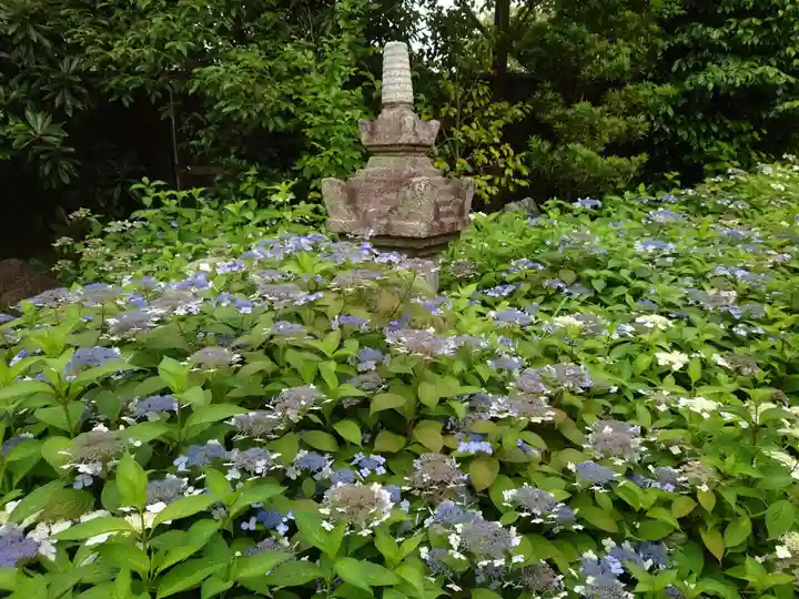 霊源院(京都府)