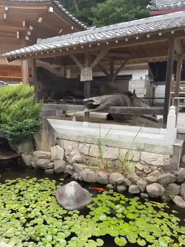 福祥寺（須磨寺）の自然