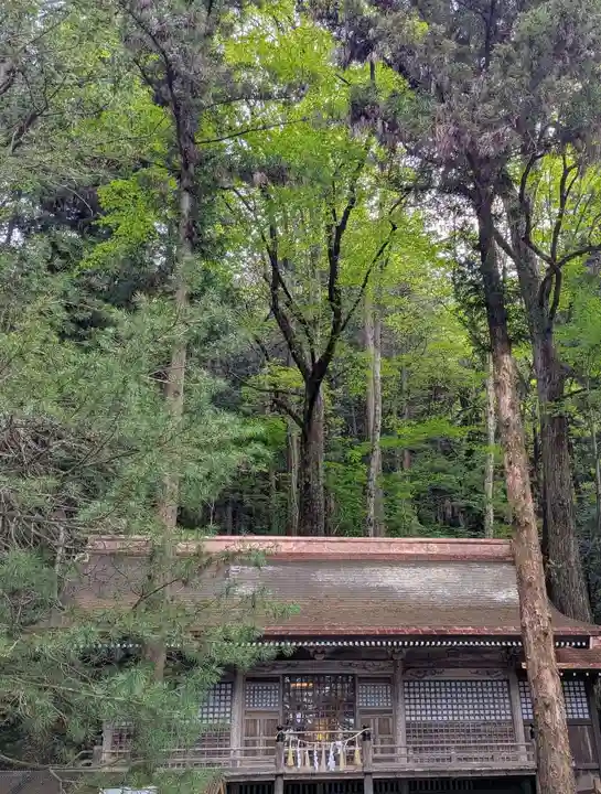 諏訪大社(長野県)