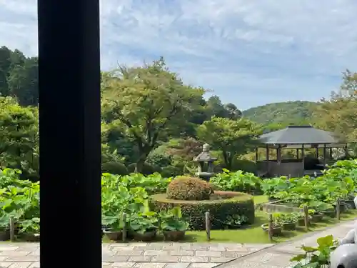 三室戸寺の庭園