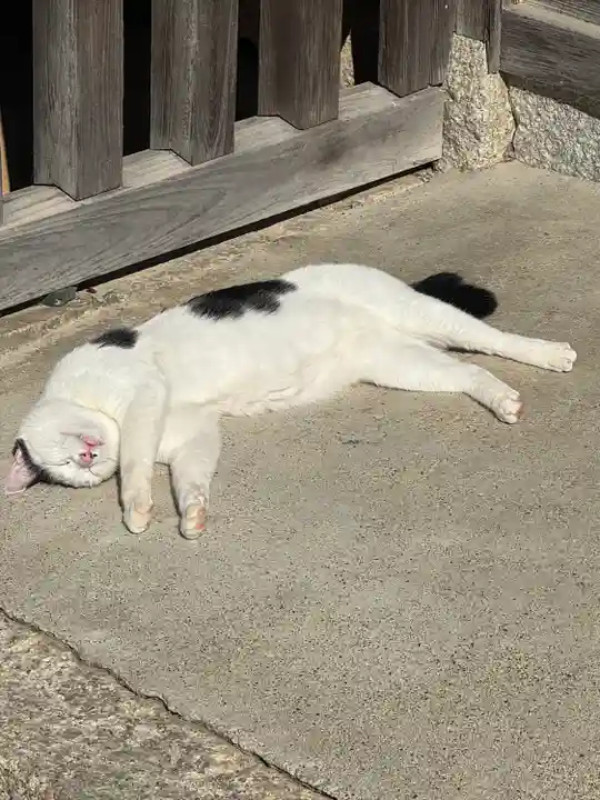 観音正寺(滋賀県)