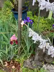 諏訪神社の自然