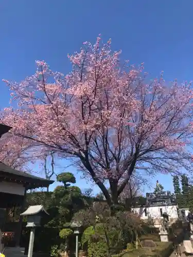 密藏院の庭園