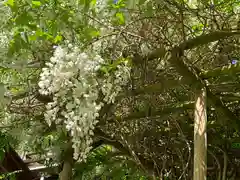 雲巌寺(栃木県)