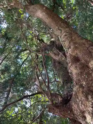 山神神社の自然