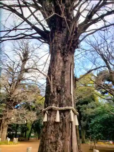 赤坂氷川神社(東京都)