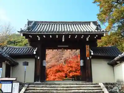 実相院門跡(京都府)