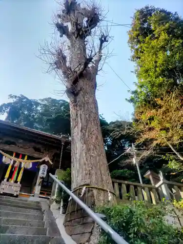 走水神社(神奈川県)