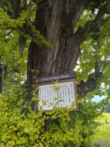 天王寺(福島県)