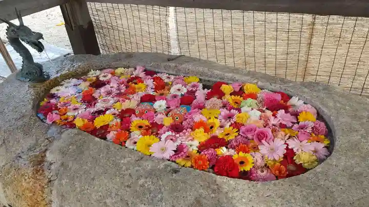 金井神社の手水舎