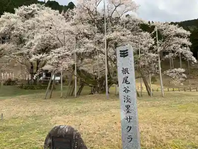 淡墨観音のその他建物