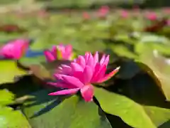 倶梨迦羅神社(長野県)