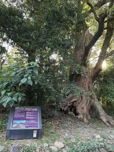 都萬神社(宮崎県)