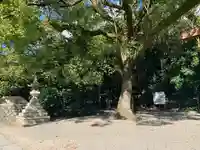 熱田神宮の自然