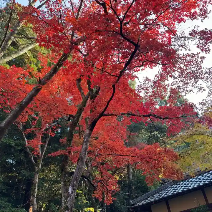 西明寺(滋賀県)