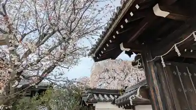 本満寺(本願満足寺)(京都府)