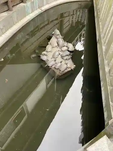 成田山川越別院のその他建物