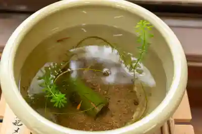 住吉神社(山口県)