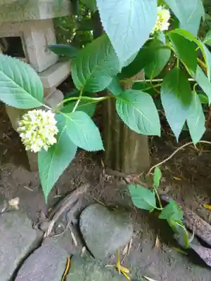 雲昌寺(秋田県)