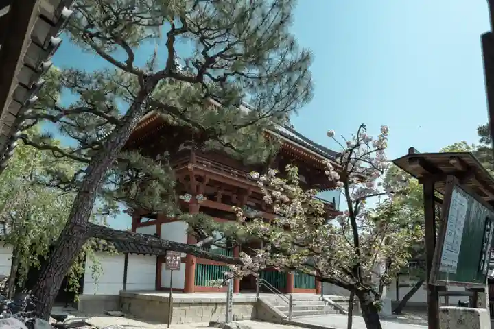 辛國神社の山門・神門