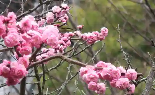 雲龍院(京都府)