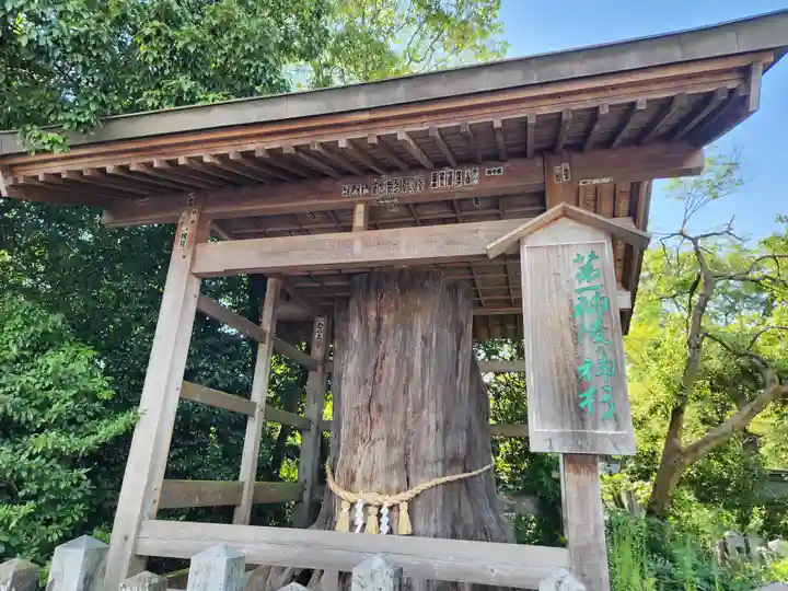 阿蘇神社の自然