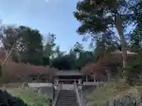 水神社(千葉県)