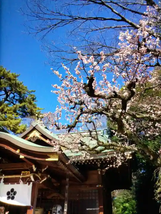 布多天神社(東京都)